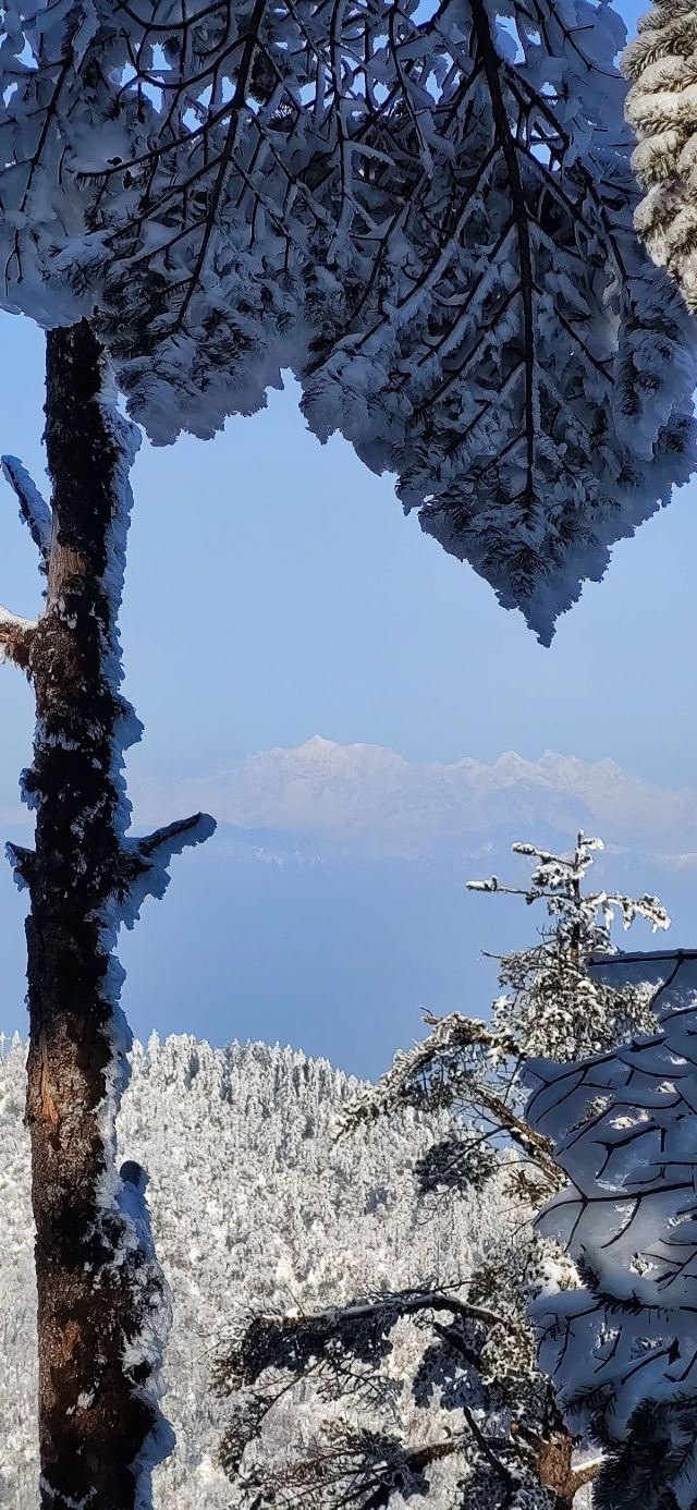 景点大全 四川省景点大全 眉山市景点大全 洪雅县景点大全 >瓦屋山