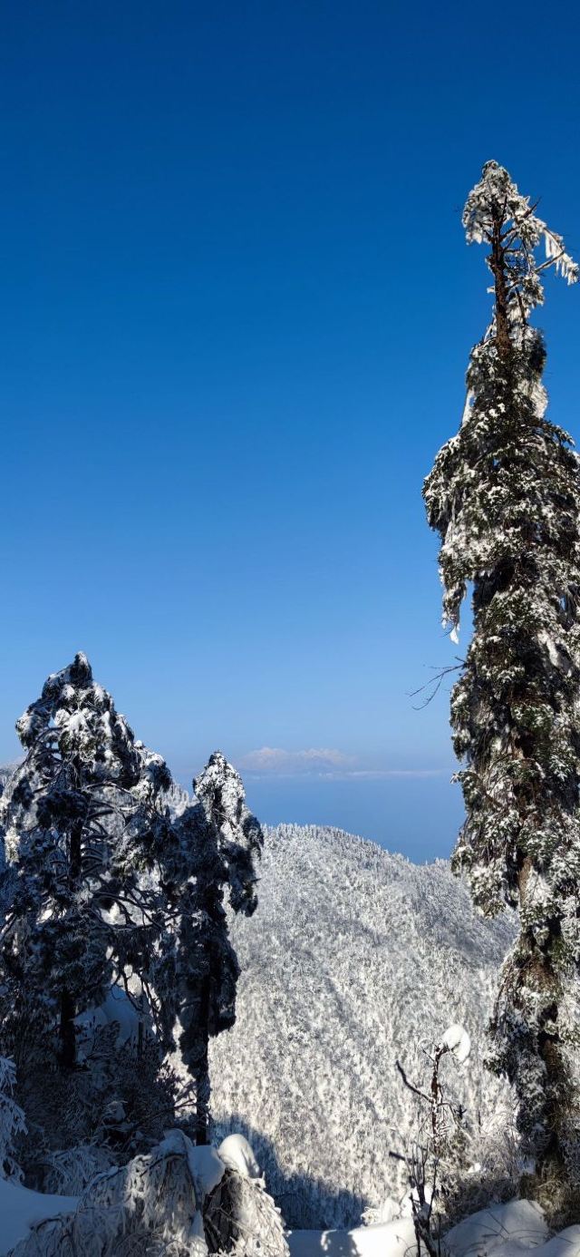 瓦屋山景区旅游攻略 之景点6(6/共16页)