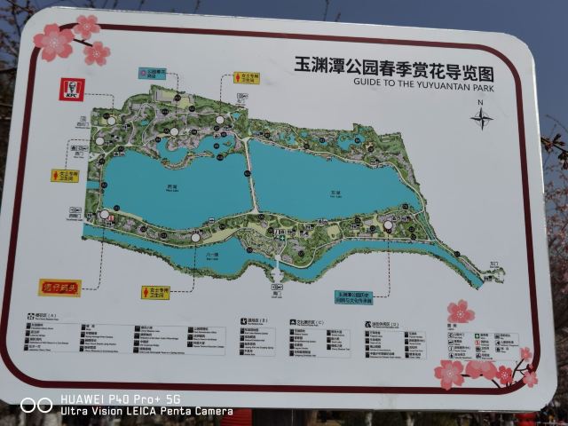 玉渊潭公园景区旅游攻略 之景点1(1/共39页)