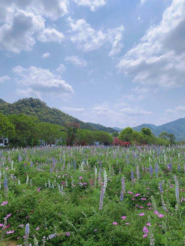 万绿谷景区旅游攻略 之景点1(1/共14页)