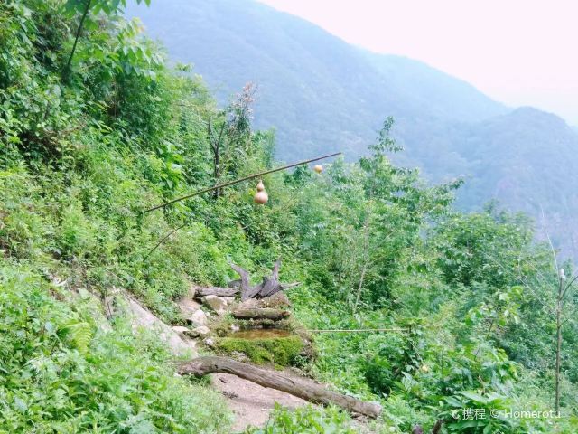 百花岭生态旅游区景区旅游攻略 之景点(/共页)