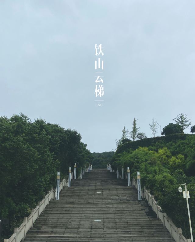 铁山坪森林公园景区旅游攻略 之景点11(11/共39页)