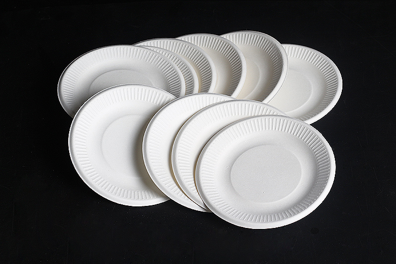 温州厂家专业定制印刷一次性餐盘 蛋糕食品纸餐盘 加印logo