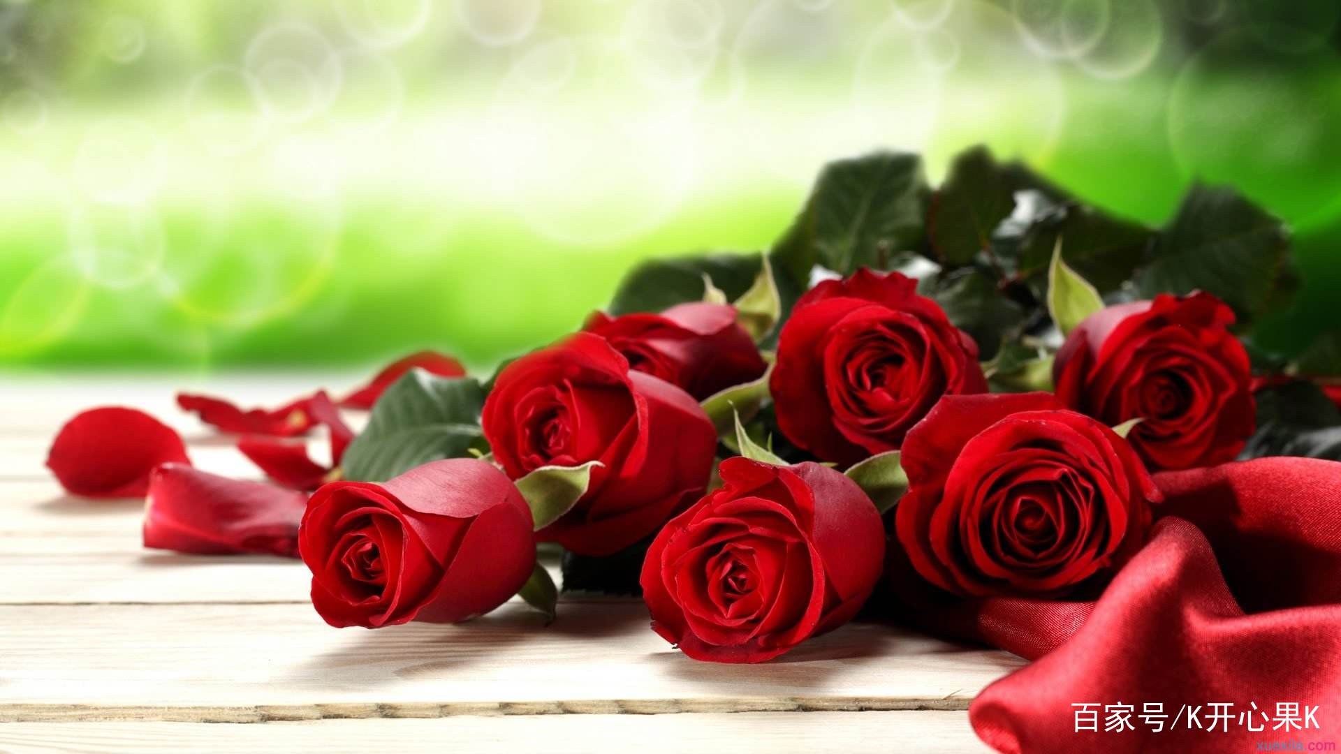 美丽温馨的玫瑰花图集,希望朋友们喜欢!