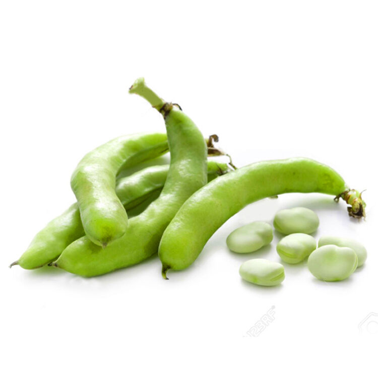 现摘上市新鲜蚕豆壳嫩带壳蚕豆农家自种绿色蔬菜当年胡豆4.99一斤