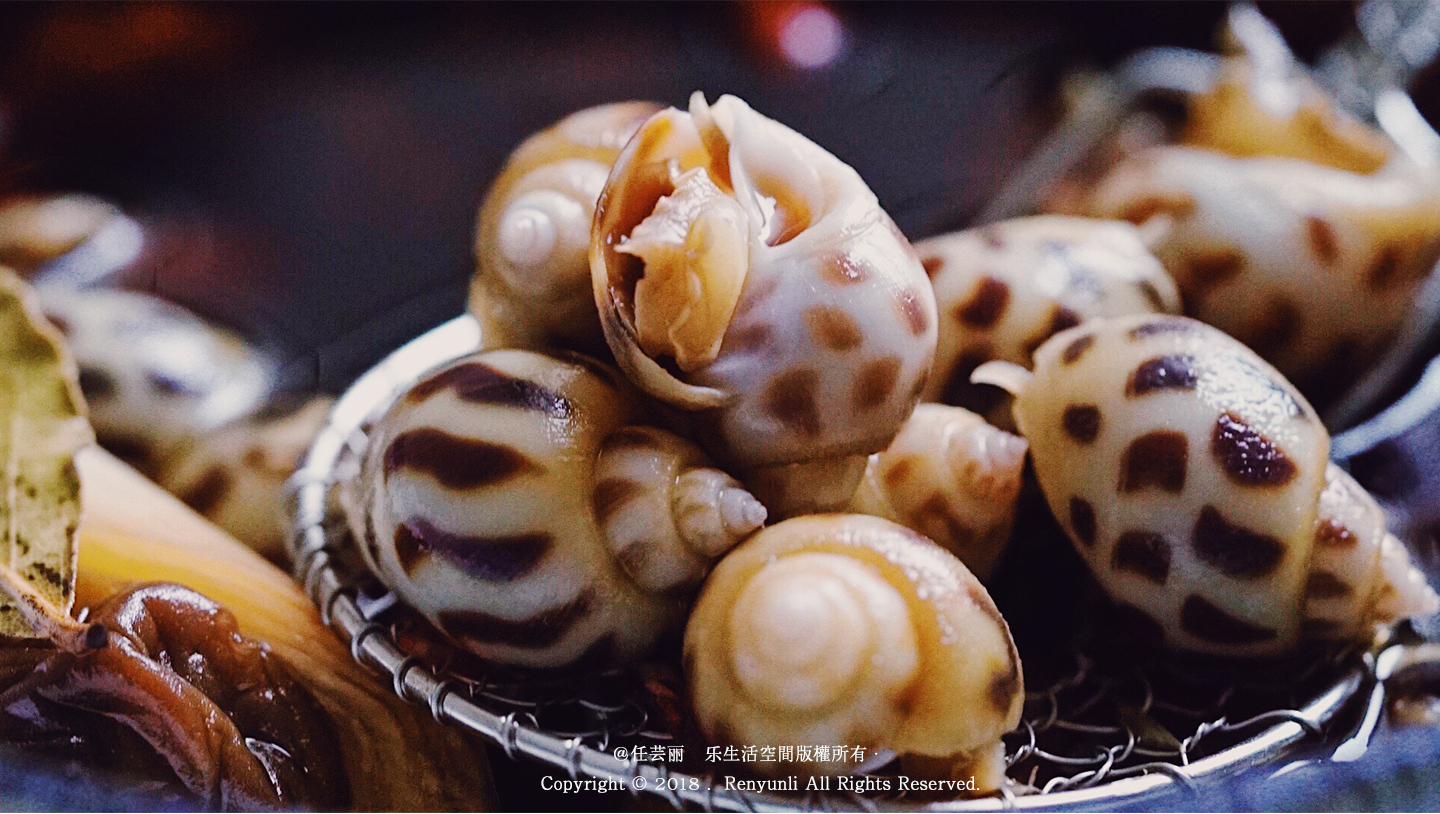 海螺贝壳收藏：美丽蝾螺（一组7个）_天然海螺_胖公鸡音像店【7788收藏】