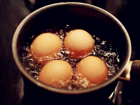 鸡蛋 蛋 食品 美