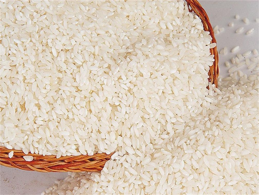如何鉴别新米陈米 大米生虫还能吃吗