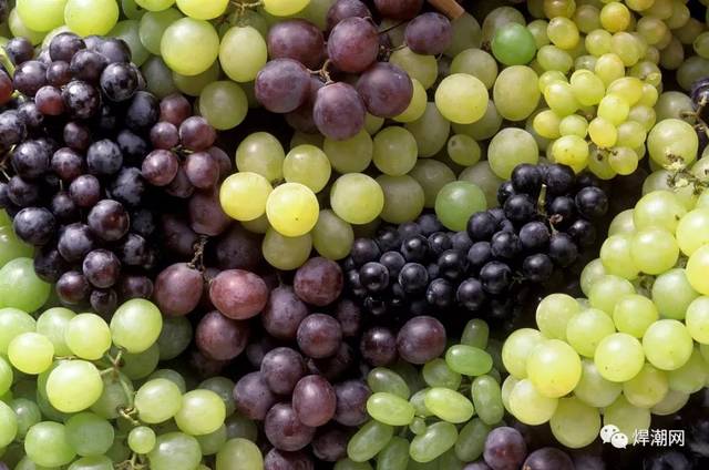 葡萄黑痘病又叫疮痂病,主要危害葡萄的绿色幼嫩部分,如果实,果梗,叶片