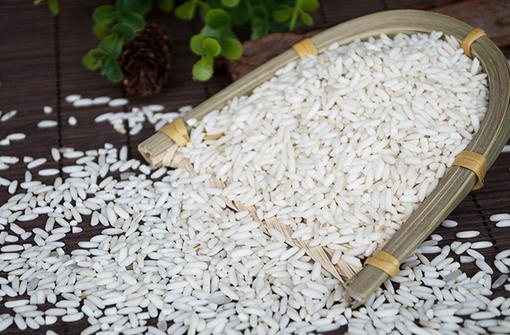 【图】糯米怎么做才好吃 糯米和大米的区别