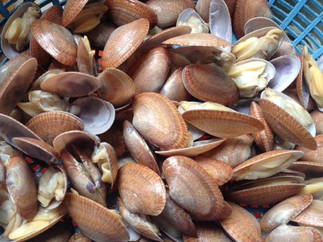 花甲壳很占称,所以一般买两斤炒一大盘一家人吃更好.