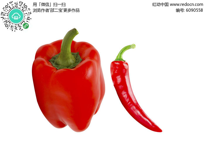 因此,红辣椒是让肾脏健康的完美食物.