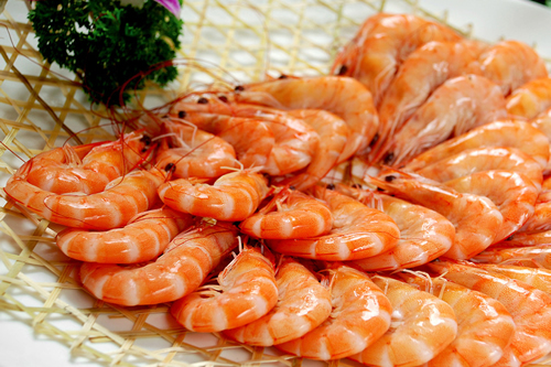 基围虾 500g 青岛大虾鲜活海鲜海虾 新鲜对虾冷冻青虾