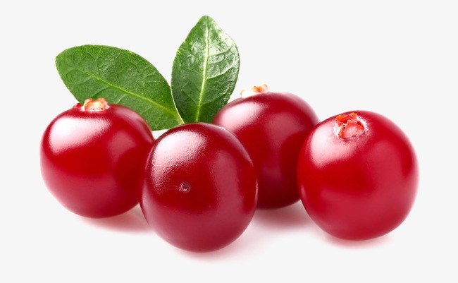 冻干蔓越莓粉 进口原料 100%纯天然果粉 蔓越莓提取物