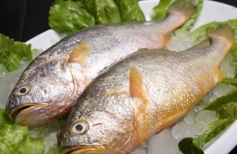 海八仙食品——大黄鱼