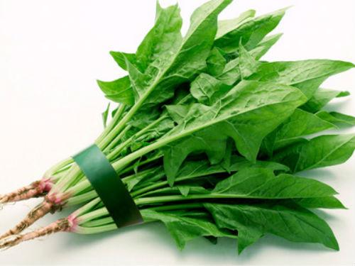 南山蔬菜配送公司:分享菠菜的营养成分