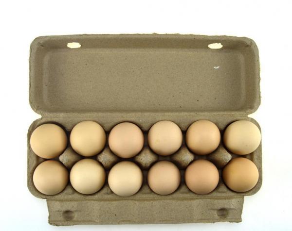 塑料鸡蛋盒装8枚鸡蛋包装蛋托中号草鸡蛋盒防震土鸡蛋