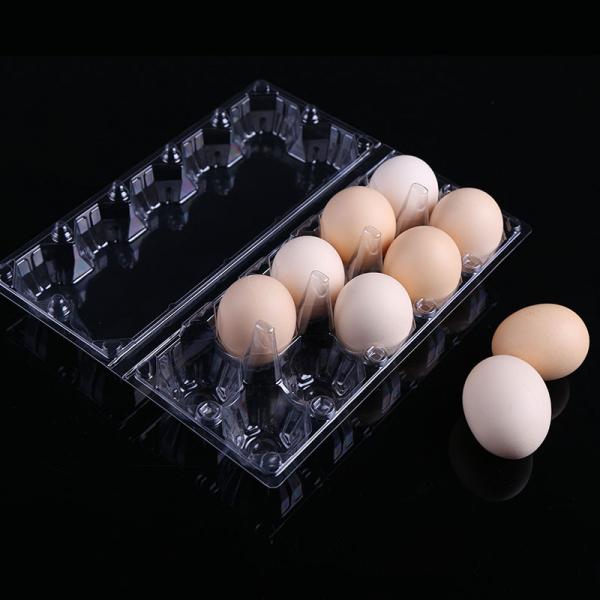 6格鸡蛋盒