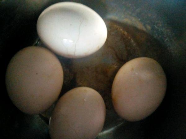 生鸡蛋壳需将其放在纸上晒干;熟鸡蛋壳可以直接进行加工做肥料.