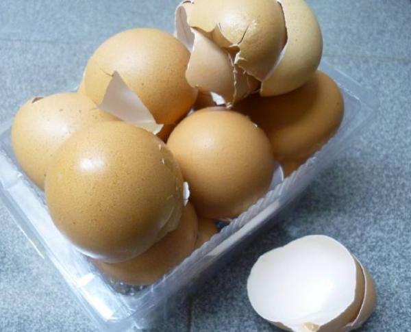 鸡蛋壳5