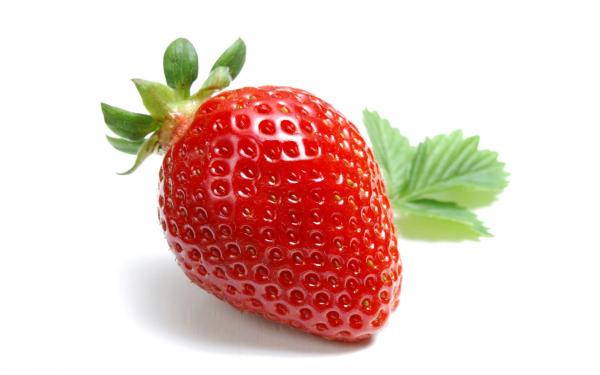 草莓017