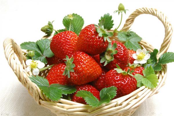 高清草莓 大草莓http://www.51yuansu.com