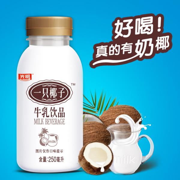 椰树椰汁正宗椰树牌椰子汁饮料 1000ml/盒 植物蛋白椰奶 海南特产