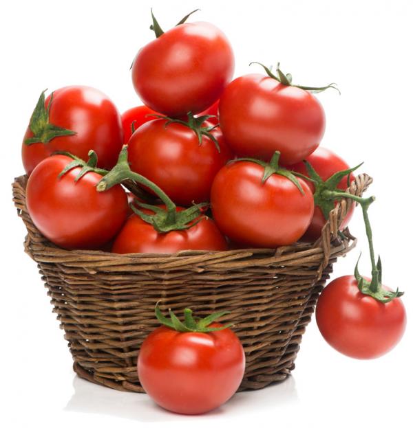 西红柿 