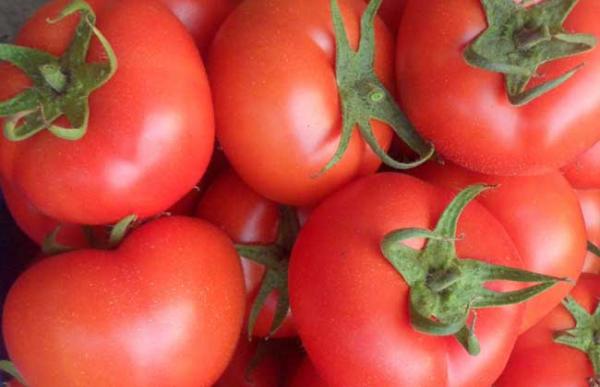入秋吃什么水果蔬菜?西红柿满足你的要求