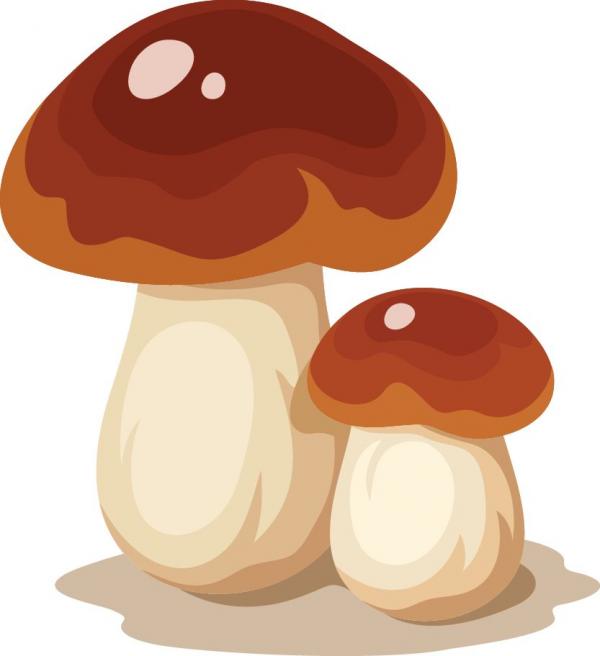 蘑菇垃圾_xcditu.com