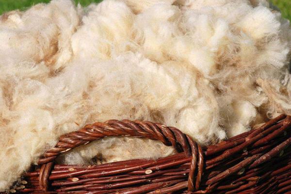 批发鞣制成品羊皮制品 剪羊皮 宁夏特产滩羊皮羊皮床毯皮毛一体