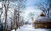 北海道的雪，承包了我对冬天的所有幻想。