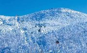 在日本这些地方，冬天的冰雪景都很可爱！