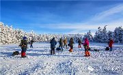 海巍旅游—哈尔滨亚布力滑雪虎峰岭中国雪乡雪地摩托马拉爬犁篝火晚会雾凇双飞五日游