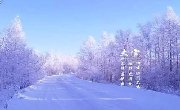 大雪 | 雾凇挂枝桠，万里飘雪花