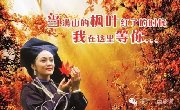 12月逢周三，六发团：德保巴头枫叶，渠洋湖，鹅泉，龙潭森林公园二日游仅售258元