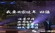 壮语歌曲《 我要回家过年》太好听了