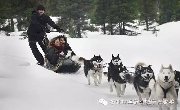 宁夏人元旦怎么玩？银川出发半小时滑雪、泡温泉、吃美食不容错过！