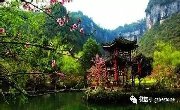 【三生三世·十里桃花】酉阳桃花源盛大开园！