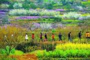 习近平：乡村旅游就该“土、野、俗、古、洋”