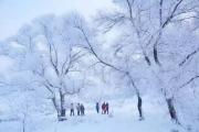 李金早：发展冰雪旅游 让冰天雪地变成金山银山