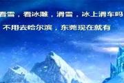 【东莞第一冰城】仅9.9元就能看真雪、真冰雕！！【水濂山】【乐民冰雪世界】-10℃冰雪围城漫雪飞舞中一起打雪仗，堆雪人！