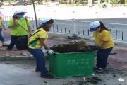 台风无情，人间有爱——珠海旅游行业志愿服务在行动