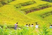 依托热带雨林和民族特色  中部旅游“共舞”好风光