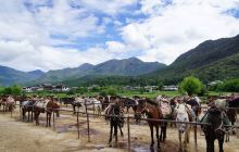 茶马古道美泉马场