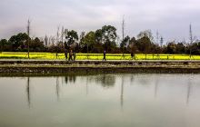 青杠树景区