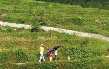 连山欧家梯田13号农家乐