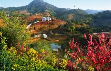 从化大金峰百花果景区