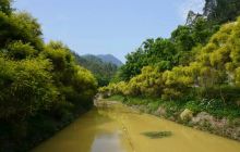 九道谷漂流风景旅游度假区