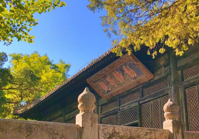 大觉寺景区旅游攻略 之景点1(1/共40页)